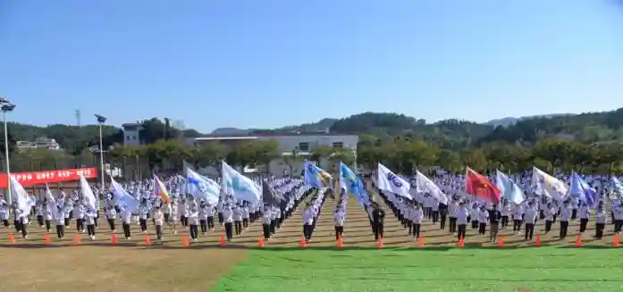 遇见商贸，预见你的星辰大海！