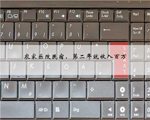 农家乐改民宿，第二年就收入百万