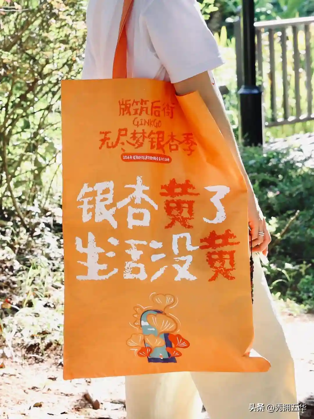 去版筑后街！做一场关于银杏的无尽梦