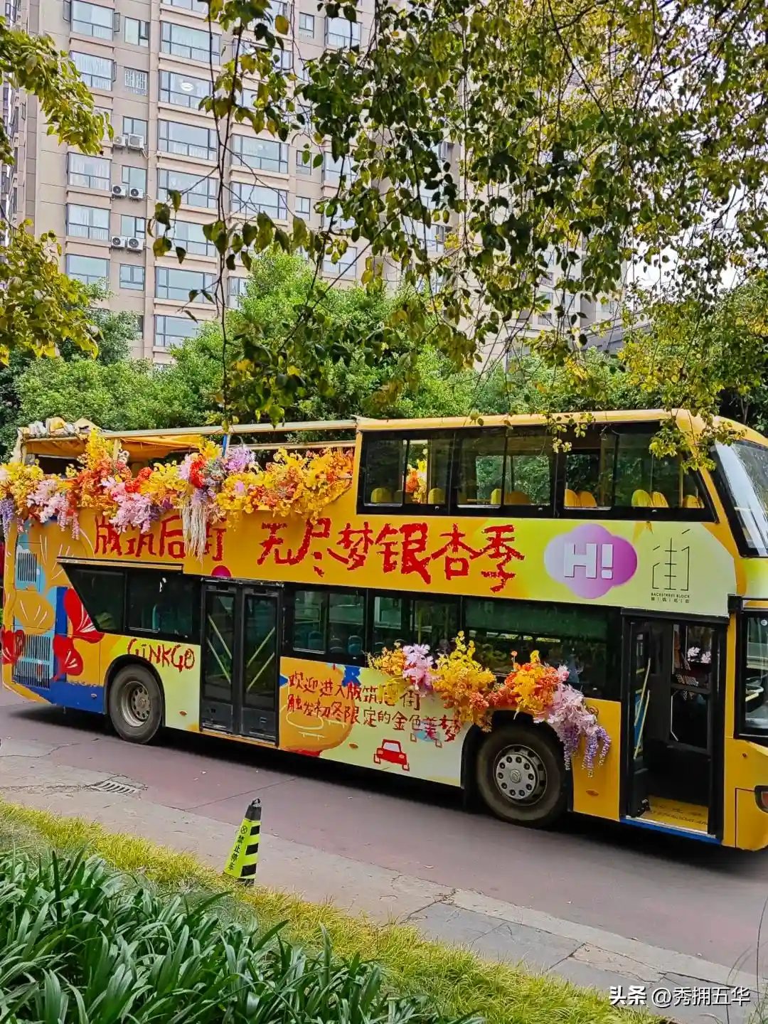 去版筑后街！做一场关于银杏的无尽梦