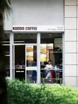 宝安宠物友好全覆盖，让“毛孩子”也能成为都市探险家