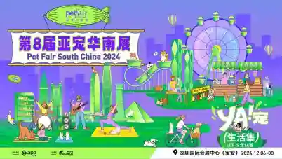 宝安宠物友好全覆盖，让“毛孩子”也能成为都市探险家