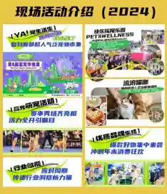 宝安宠物友好全覆盖，让“毛孩子”也能成为都市探险家