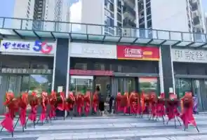 宝安宠物友好全覆盖，让“毛孩子”也能成为都市探险家