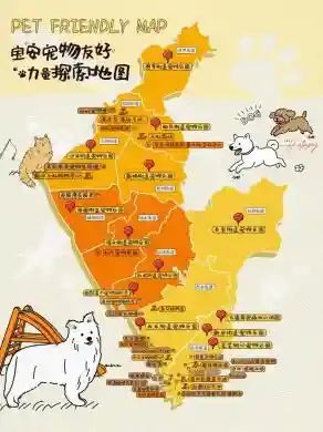 宝安宠物友好全覆盖，让“毛孩子”也能成为都市探险家