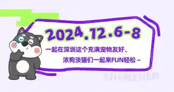 宝安宠物友好全覆盖，让“毛孩子”也能成为都市探险家
