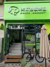 宝安宠物友好全覆盖，让“毛孩子”也能成为都市探险家