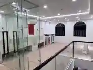 宝安宠物友好全覆盖，让“毛孩子”也能成为都市探险家