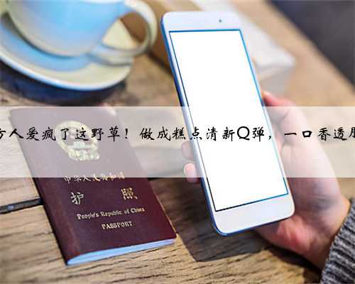 南方人爱疯了这野草！做成糕点清新Q弹，一口香透肺腑