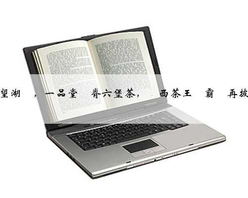 探秘桂林望湖閣，一品堂龍脊六堡茶，廣西茶王爭霸賽再披“龍袍”