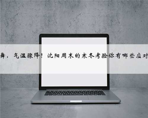 雪花飞舞，气温骤降！沈阳周末的寒冬考验你有哪些应对之策？