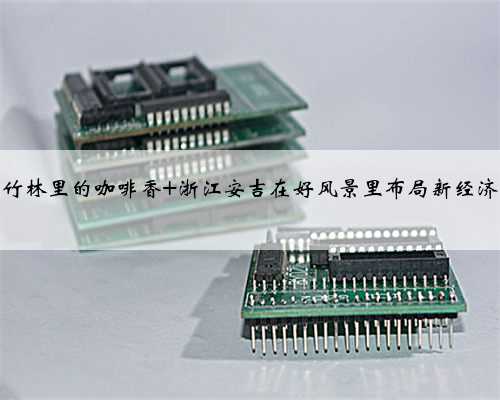 竹林里的咖啡香 浙江安吉在好风景里布局新经济