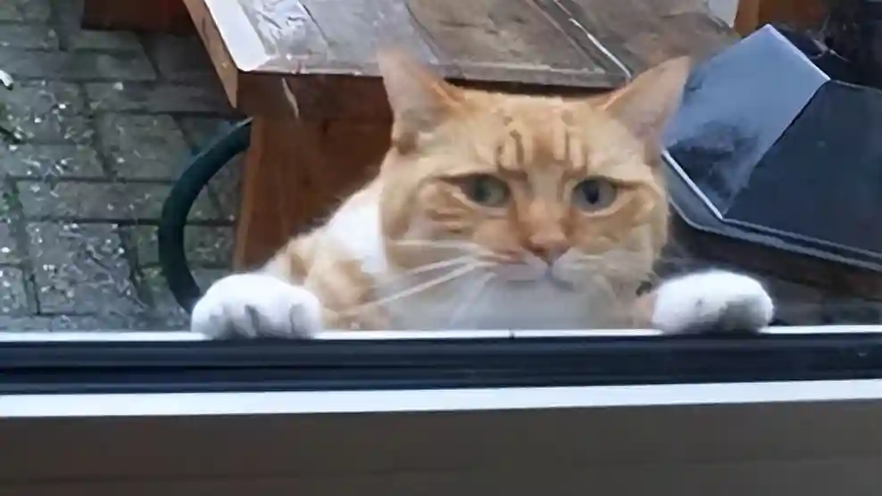 喵眼看滦南—滦南之旅插播“冀东老手艺—马官寨酥糖”