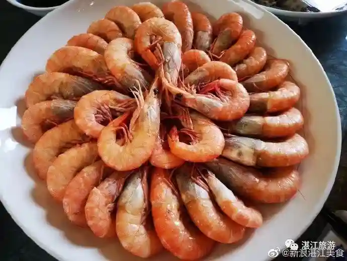 湛江版“我不要你觉得，我要我觉得！”