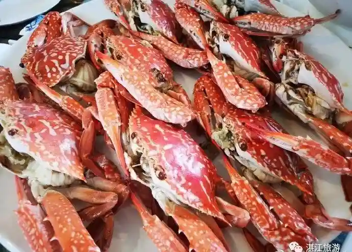 湛江版“我不要你觉得，我要我觉得！”