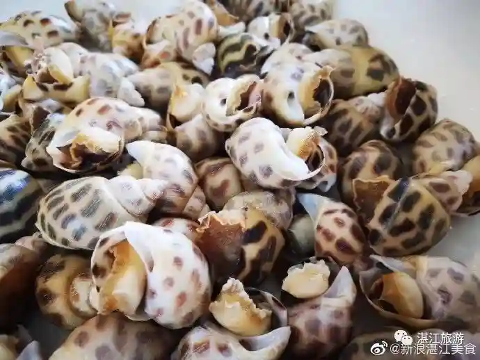 湛江版“我不要你觉得，我要我觉得！”