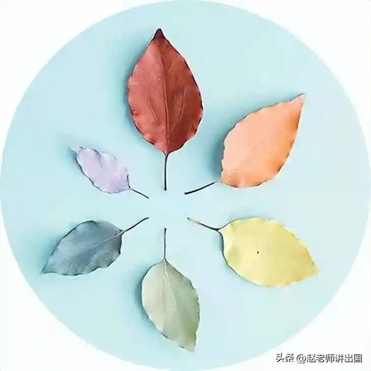 一篇读懂：澳大利亚半工半读项目