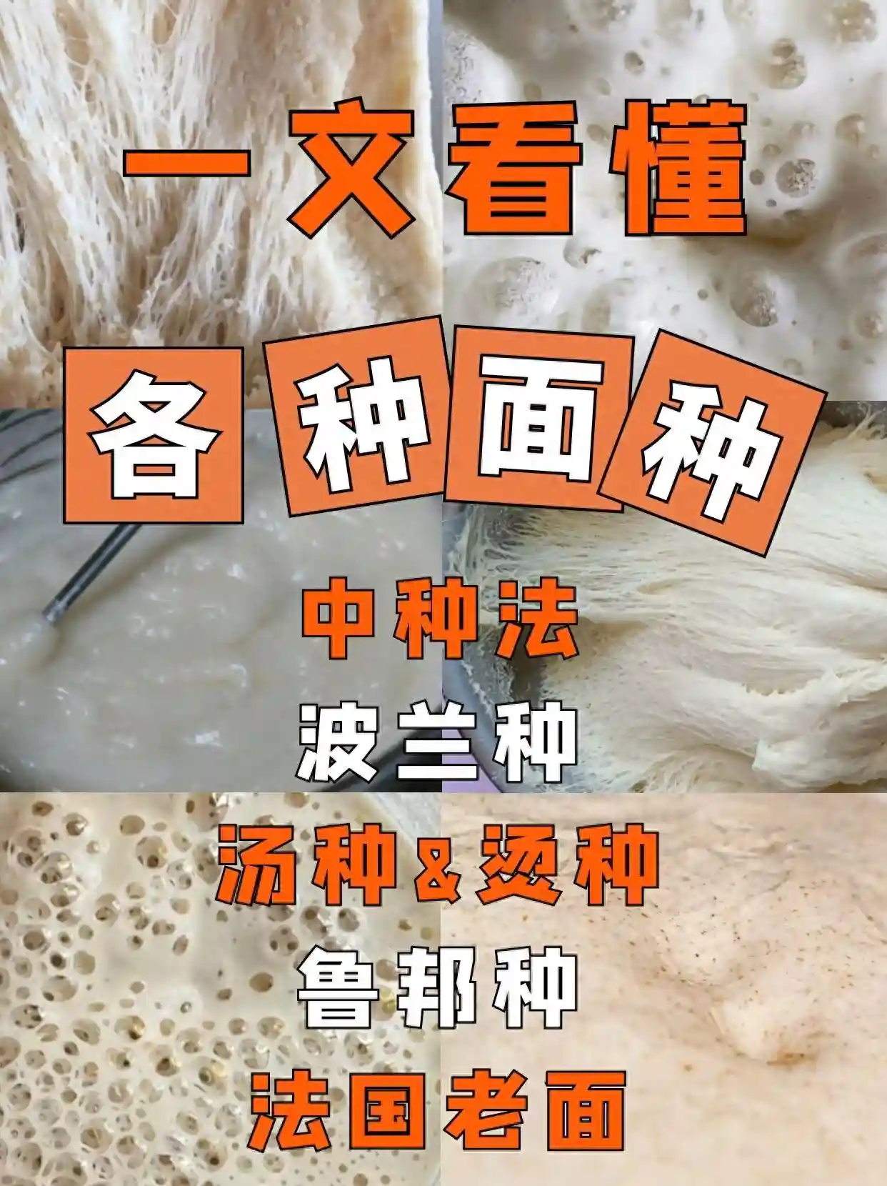 一次搞懂面包的那些“种”，有什么区别？烘焙必看！