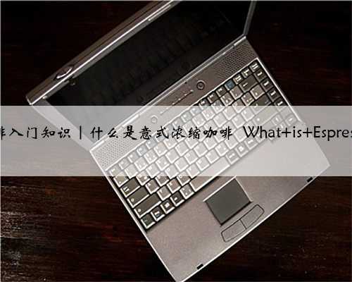 咖啡入门知识｜什么是意式浓缩咖啡 What is Espresso?