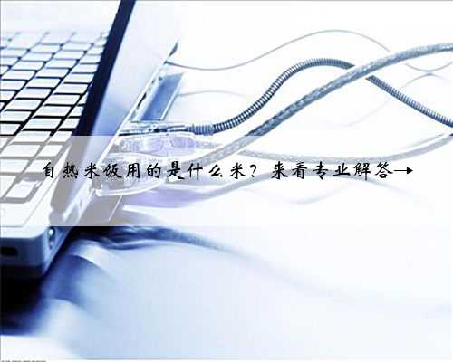 自热米饭用的是什么米？来看专业解答→