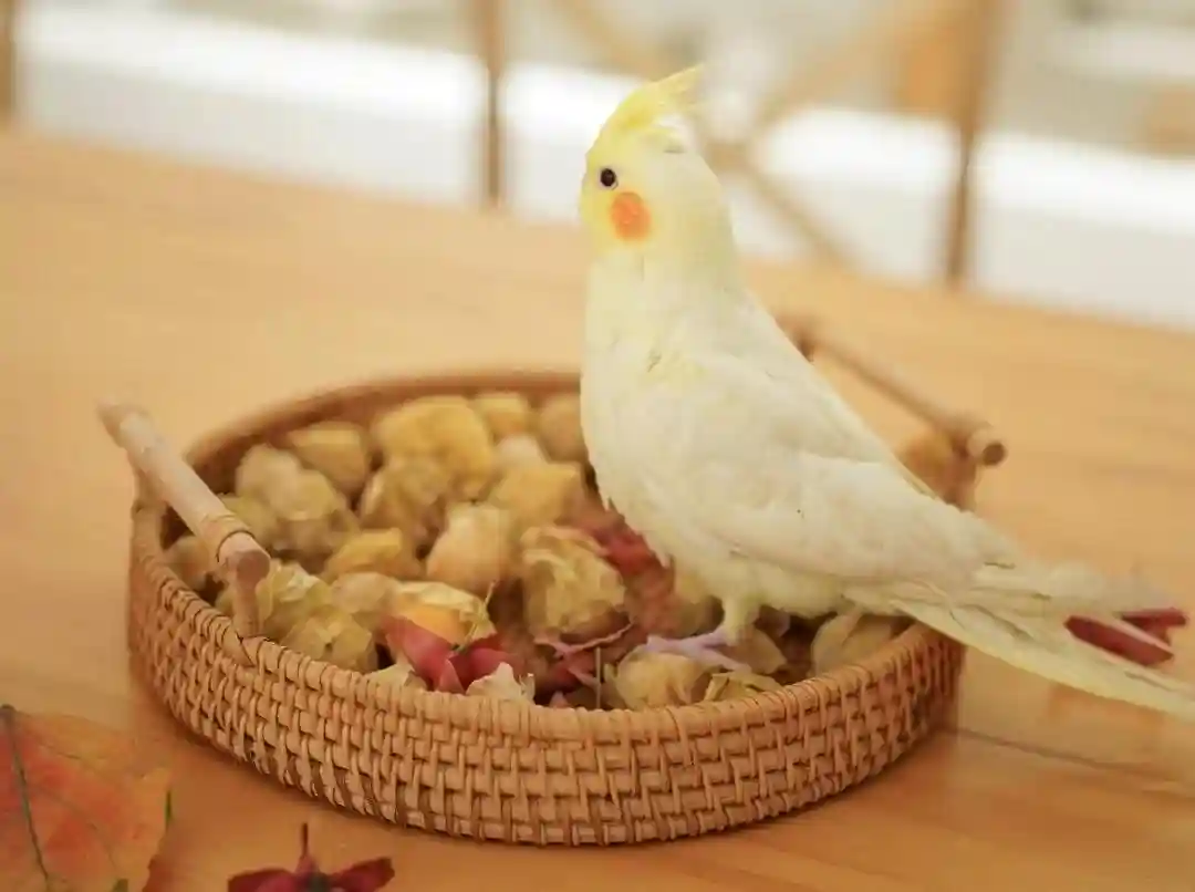 50㎡老小区改造甜品店｜温柔治愈，开启时代“甜蜜魔盒”