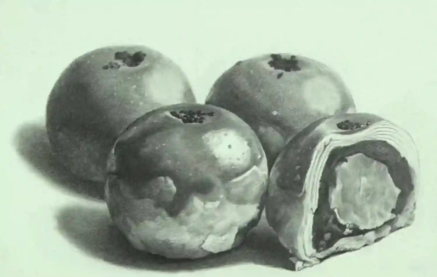 素描的蛋黄酥不单单是一幅画，还是只看着就馋人的可口糕点，Get