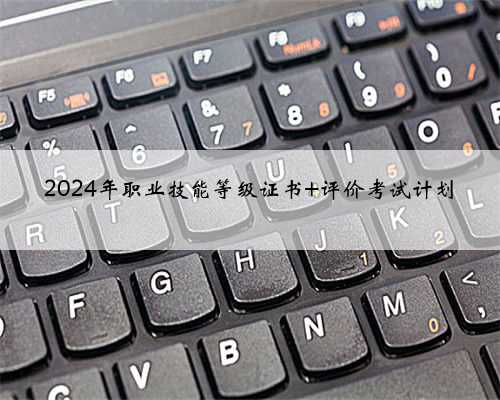 2024年职业技能等级证书 评价考试计划