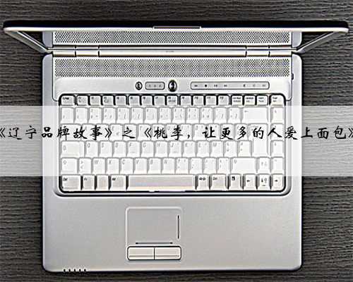 《辽宁品牌故事》之《桃李，让更多的人爱上面包》