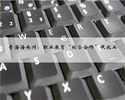 青海海南州：职业教育“校企合作”促就业