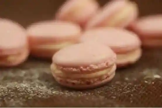 香港名厨教你法式马卡龙的制作方法