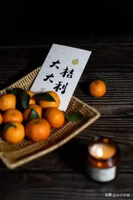 全国4600万亩的柑橘红了，看看它们的价格如何？还有加工出口情况