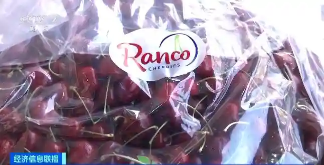 价格大跳水！网友：等不及了！