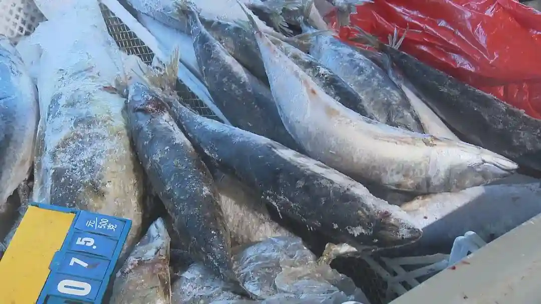 记者实地走访，带你看看上海西南地区最大的农副产品批发集散中心……