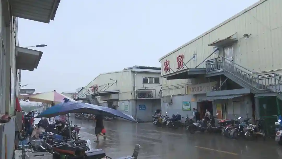 记者实地走访，带你看看上海西南地区最大的农副产品批发集散中心……