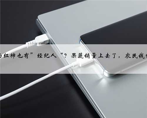 西瓜、西红柿也有”经纪人“？果蔬销量上去了，农民钱包变鼓了