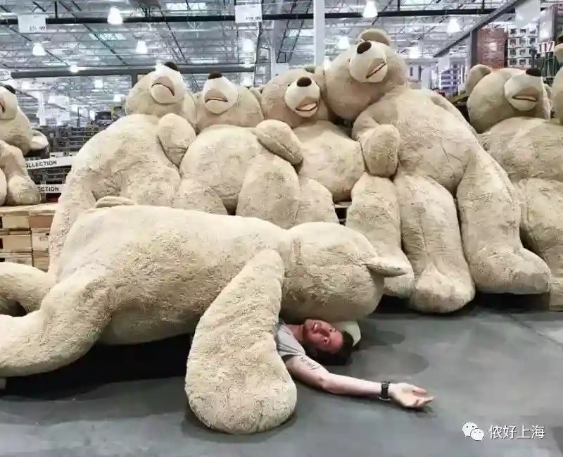 内地首家！XXXXL加大号超市Costco终于来上海了！最早5月开业！