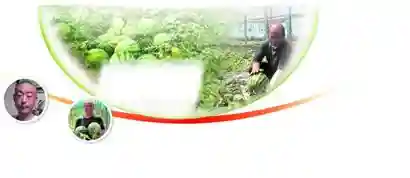 西瓜、西红柿也有”经纪人“？果蔬销量上去了，农民钱包变鼓了