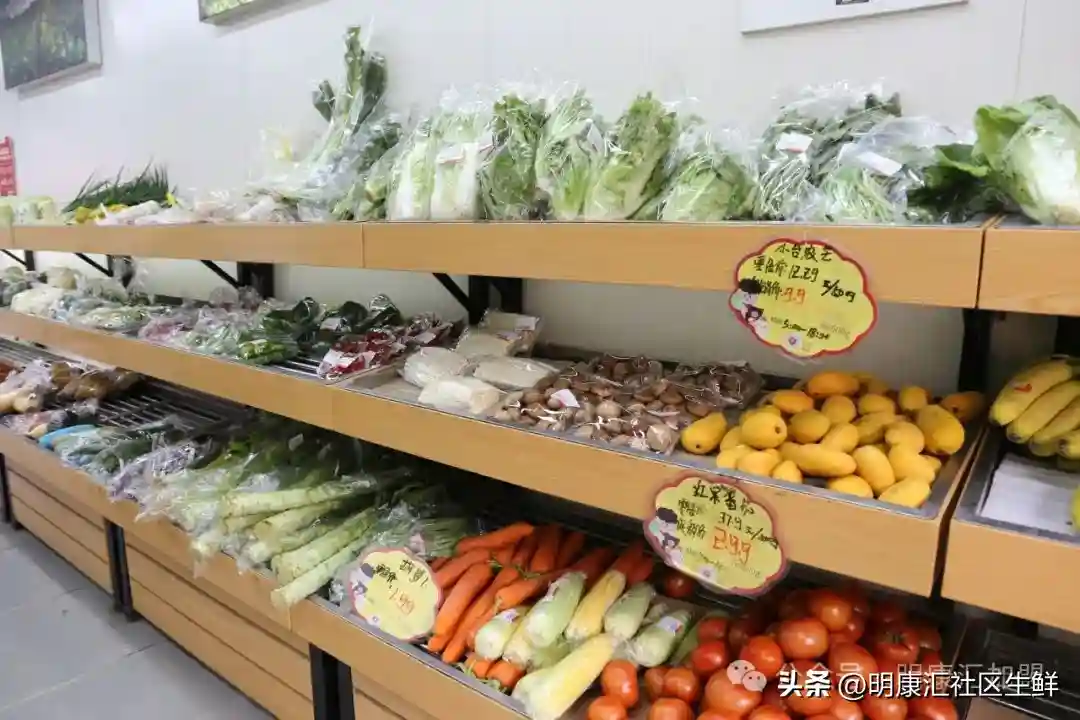 加盟投资者看过来！明康汇将亮相SFE第37届上海国际连锁加盟展