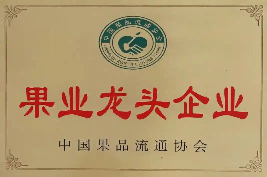 【走近买家】杭州果品集团有限公司