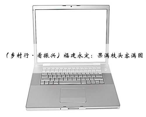 （乡村行·看振兴）福建永定：果满枝头客满园