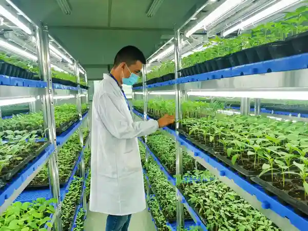 贵阳3家企业入选国家重点龙头企业