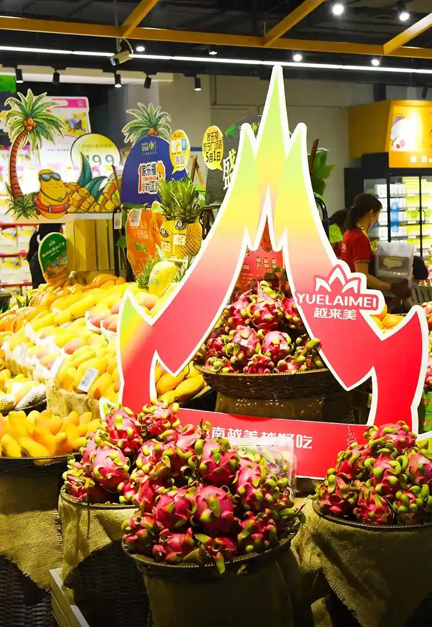 夫妻、子女、外侄齐上阵，曾向P2P借钱的洪九果品赴港上市