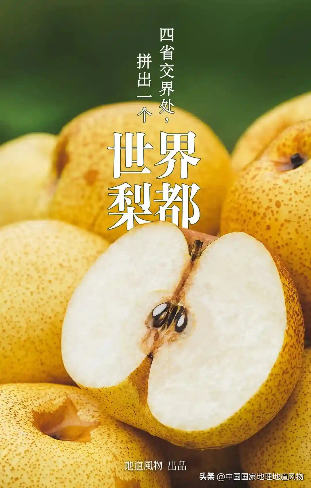 四省交界的“世界梨都”，到底有多拼？