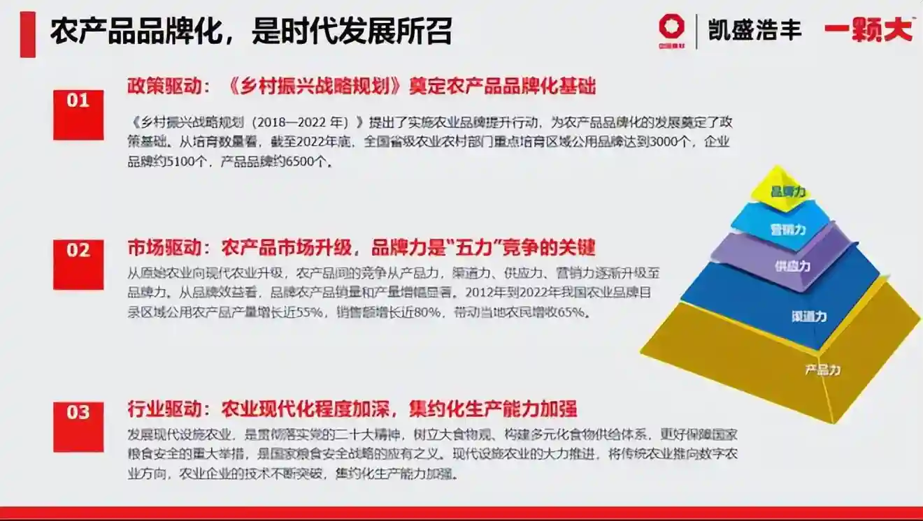 一颗大™：一年“双榜首”，重新定义番茄品类