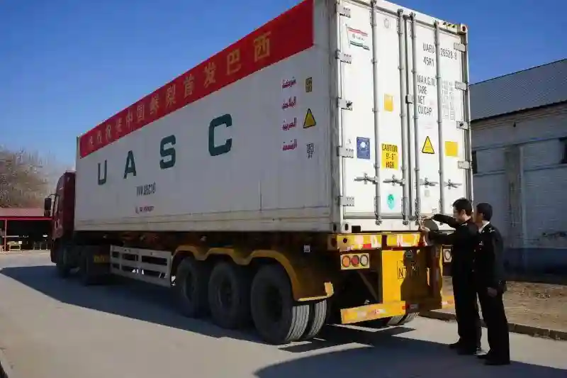 河北鲜梨成功出口巴西，打开世界第二大鲜梨进口国市场