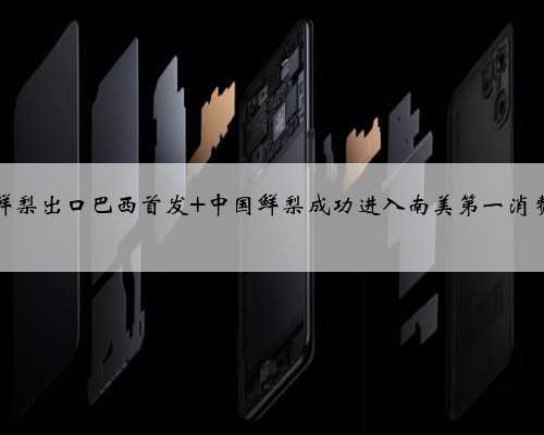 河北鲜梨出口巴西首发 中国鲜梨成功进入南美第一消费市场