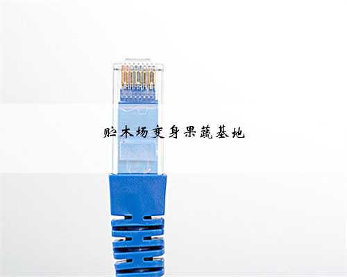 贮木场变身果蔬基地