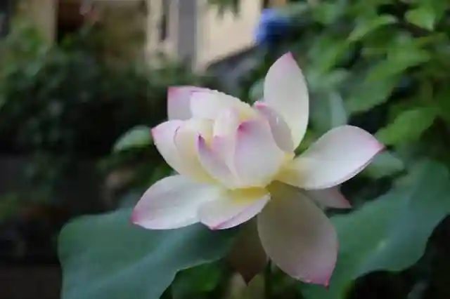 招募｜看多肉、学画画、尝新品，就问你来不来？！