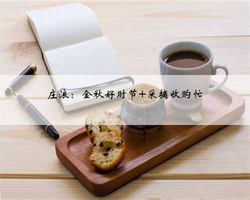 庄浪：金秋好时节 采摘收购忙