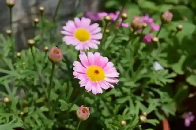 招募｜看多肉、学画画、尝新品，就问你来不来？！